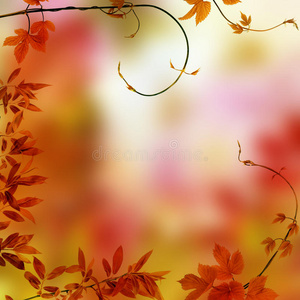 秋季画框