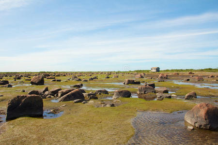 哈德逊湾低潮石沙漠和小屋照片