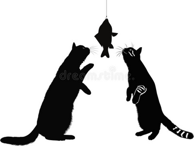 猫和鱼类动物隔离