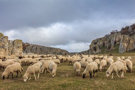 Dobrogea 三峡罗马尼亚