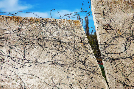 带刺的铁丝栅栏.通道已关闭照片