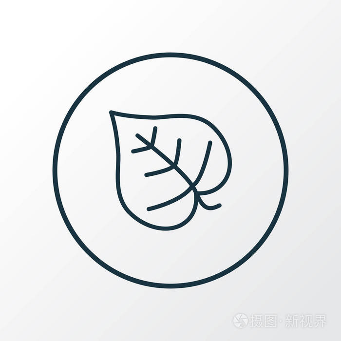 丁香叶图标线符号.优质品质隔离薰衣草叶元素时尚风格