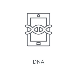 dna 线性图标。dna 概念笔画符号设计。薄的图形元素向量例证, 在白色背景上的轮廓样式, eps 10
