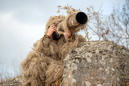 伪装的动物图片