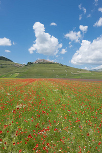 Castelluccio di 阿西西在锡比利尼公园