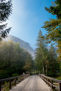 这座木桥。景观与山川同松树