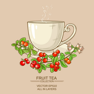 蔓越莓卡通杯蔓越莓茶照片
