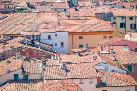 古建筑与卢卡的红色屋顶鸟瞰图图片
