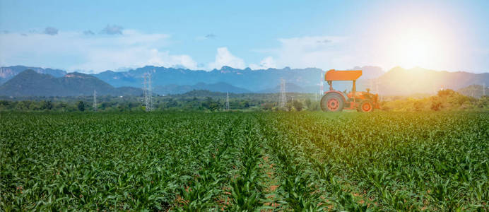 农业智能农业4.0 概念, 农民使用拖拉机在农场耕作, 悲惨, Sowin