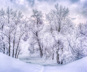 冬季公园冬天的风景与白雪皑皑的树木冬季下雪场景在复古色调