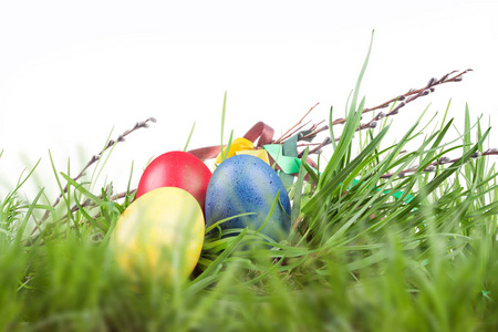 在草丛中的复活节彩蛋