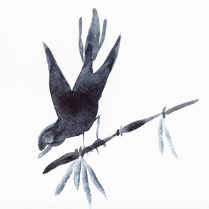 在白纸上的手绘鸟在竹枝画由黑色水彩画