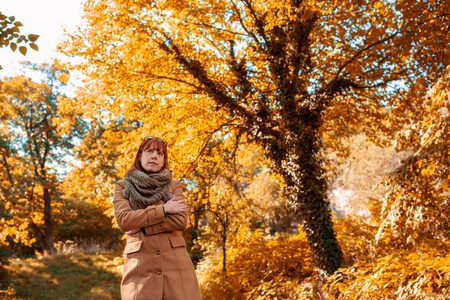 年轻的姜女孩的肖像在美丽的秋天森林
