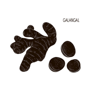 生姜剪影图片-生姜剪影素材-生姜剪影插画-摄图新视界