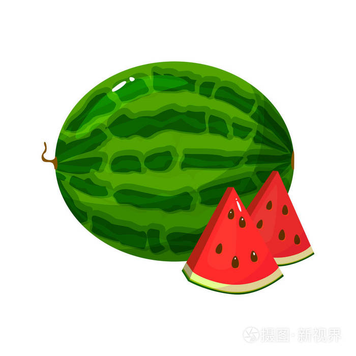 动画片新鲜西瓜查出在白色背景