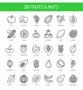水果浆果和坚果。素食和素食。健康饮食  减肥饮食成分。矢量行图标集合。白色背景上的独立对象