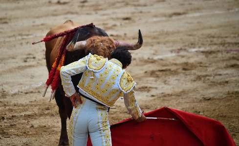 斗牛在西班牙与大牛图片