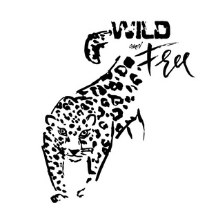 豹纹.野猫头的向量例证.狂野而自由照片