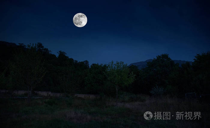 穿过森林的山路在满月的夜晚.与月亮的深蓝色天空风景夜景照片-正版商