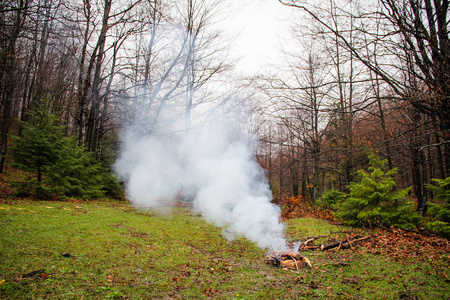 着火了人与自然的统一。木材。山之旅。舒适的热