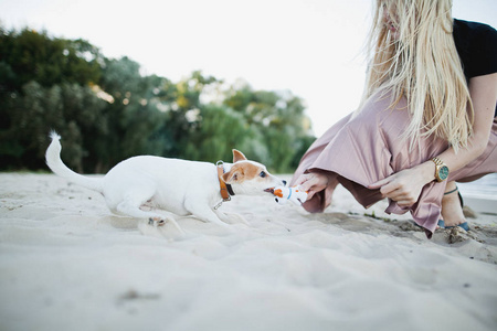 在海滩上玩狗的女孩