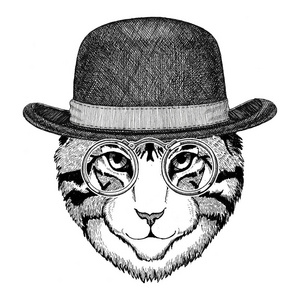 很酷的野生猫科动物动物时髦款式复古插画形象纹身 徽标 标志 徽章设计