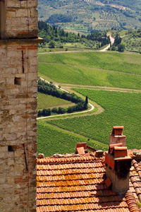 从村庄的 Nipozzano 基安蒂，托斯卡纳，意大利佛罗伦萨附近的葡萄园的视图