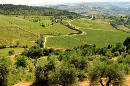 查看上从 Nipozzano 村的葡萄园，在托斯卡纳，意大利佛罗伦萨附近的基安蒂地区