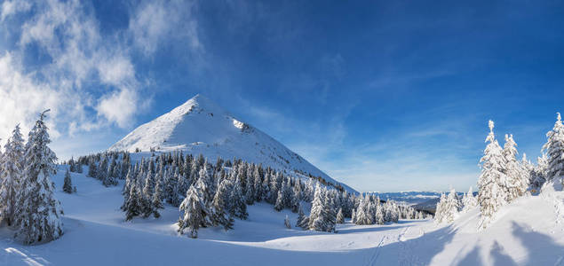 喀尔巴阡山脉美丽的冬季景观。佩特罗斯山顶积雪覆盖