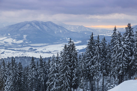 滑雪公园库宾斯卡霍拉西塔特拉斯。斯洛伐克。在背景山峰上的雪覆盖的山谷的看法。斯洛伐克。寒假滑雪的旅游目的地