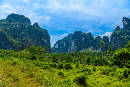 风景与棕榈和岩石悬崖, 空帕侬国家公园, 加蓬, 攀牙, 泰国