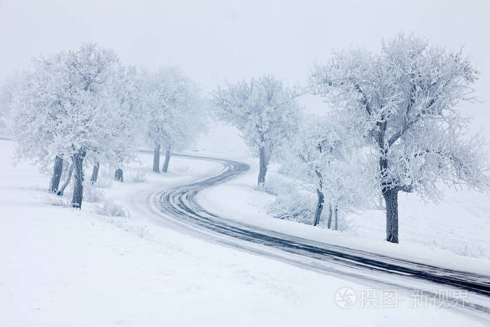 白雪皑皑的冬天路