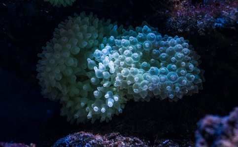 海底世界鱼水族馆图片