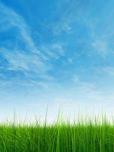 清新田园背景图片