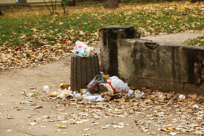 人们非法地把垃圾扔到森林里.人与自然的概念.自然界中的非法垃圾场.