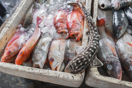 在巴厘岛金巴兰旅游吸引当地市场上卖新鲜的海鲜鱼照片