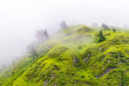 布尔纳保护区的自然景观, 是登山爱好者和尼泊尔最大保护区的热点地区