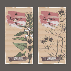 孜然粒插画-孜然粒手绘-孜然粒卡通图-摄图新视界