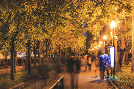 公园里的树上有晚灯灯。秋季时期