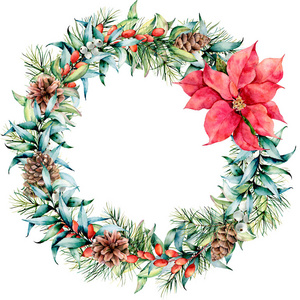 水彩圣诞花环, 有桉树和一品红。手绘冷杉边界与圆锥, 浆果, 桉树叶隔离在白色背景。设计印刷的假日花卉插图
