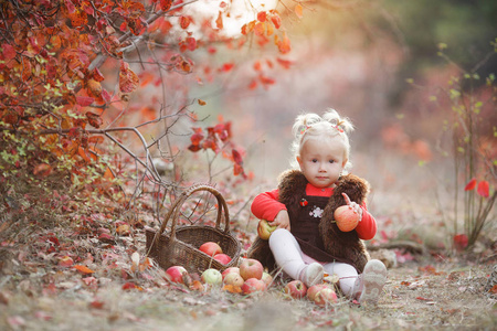孩子在秋天摘苹果。小女孩在苹果树果园玩。孩子们在篮子里摘水果。幼儿在秋收时吃水果。孩子们的户外乐趣。健康营养。秋天花园里装满成熟