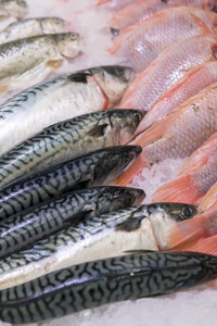 超市里冰上的新鲜海鱼。健康和健康的食物