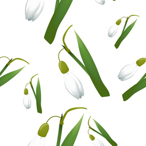 无缝模式与独自雪莲鲜花与绿色的茎和叶大小不同。白色背景。矢量图