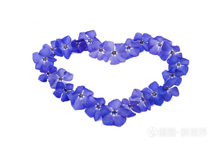 花蔓长春花中分离照片 正版商用图片0tu8mp 摄图新视界 花蔓长春花中分离照片 正版商用图片0tu8mp 摄图新视界