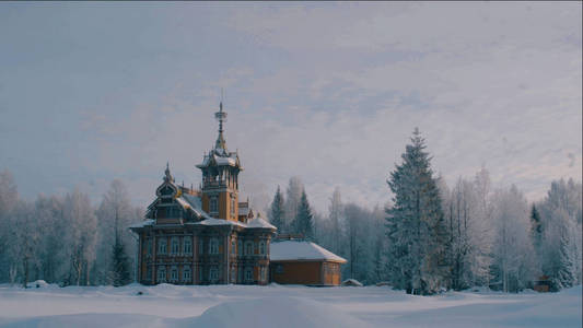 传统的俄罗斯宫terem 在一片森林