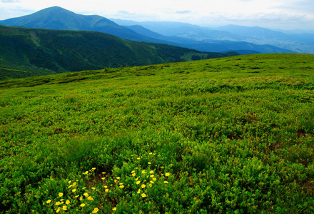 夏季山风景