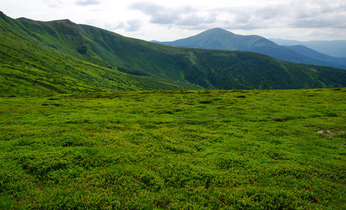 夏季山风景