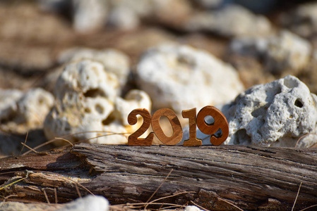 木材编号2019在木材在珊瑚背景, 快乐的新年概念和珊瑚装饰的想法