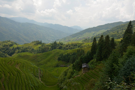 绿色梯田景观, 龙的主干 中国