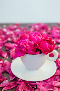关闭紫色粉红色牡丹花花束在一个装饰杯和茶托在黑暗的背景与牡丹花瓣。爱的礼物问候赞美的概念。软选择性对焦。垂直卡。复制空间